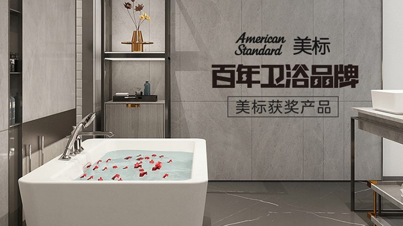 蹲便改坐便：马桶改造，价格与选择的考量